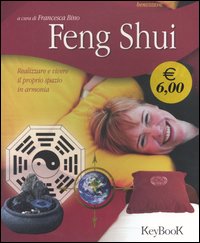 La disciplina cinese del Feng Shui si  diffusa in Occidente a partire dalla fine dello scorso millennio. I suoi seguaci sono convinti che il luogo dove si vive e dove si collocano le varie stanze della casa possa influenzare in modo significativo l'armonia della vita umana. L'orientamento e il progetto di una casa, la disposizione dell'arredamento, la direzione in cui il letto  posto, i colori egli ornamenti che vi si trovano contribuiscono a creare un ambiente rilassante e denso di stimoli. Il Feng Shui  una disciplina che comprende tradizioni antiche, filosofia, religione, medicina, pratiche e rituali giunti fino a noi dalle misteriose pratiche degli sciamani, che scoprirono come le forze della natura influenzino l'ambiente e quindi l'uomo. 